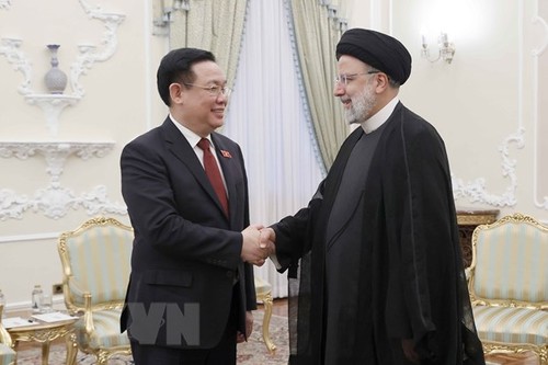 Vuong Dinh Huê rencontre Ebrahim Raisi - ảnh 1