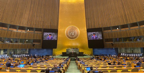 Le Vietnam partage son expérience et son soutien à l’AIEA à l’ONU - ảnh 1