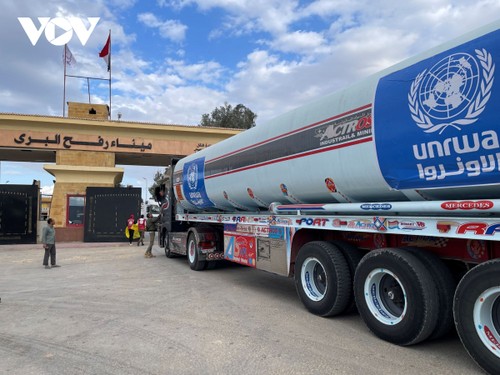 Conflit Hamas-Israël: 800 camions d’aide humanitaire sont arrivés à Gaza depuis l’entrée en vigueur de la trêve humanitaire - ảnh 1