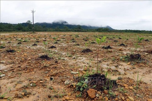 Coopération Vietnam-Belgique: des avancées dans les domaines politique, économique et humanitaire - ảnh 1