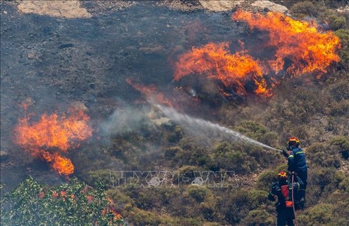 Les incendies ravagent le sud de l’Europe - ảnh 1