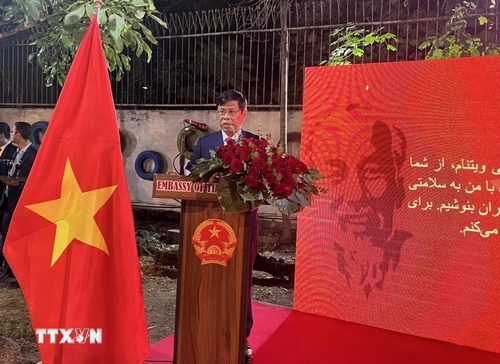 La fête nationale vietnamienne célébrée à l’étranger - ảnh 2