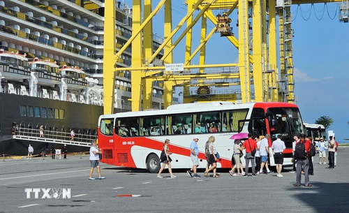 Dà Nang accueille près de 2.000 visiteurs internationaux venus à bord de bateaux - ảnh 1