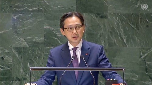 Assemblée générale de l’ONU: le Vietnam appelle à un cessez-le-feu immédiat à Gaza   - ảnh 2