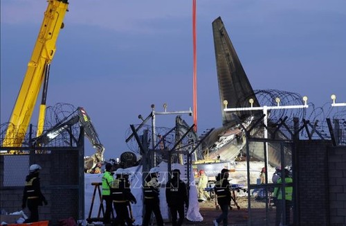 Crash d'avion en République de Corée: le président par intérim décrète un deuil national de 7 jours - ảnh 1