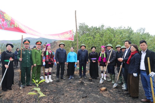 Les localités vietnamiennes lancent un vaste programme de reforestation - ảnh 1