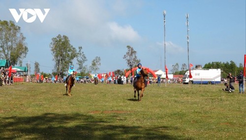 Ouverture de la course de chevaux traditionnelle de Go Thi Thùng - ảnh 1