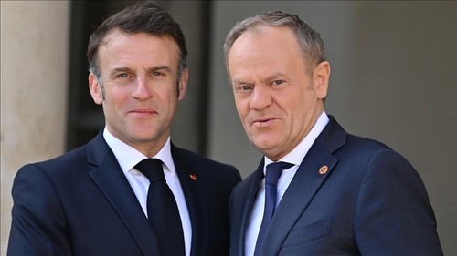 Pologne - France: un traité de sécurité commun en préparation - ảnh 1