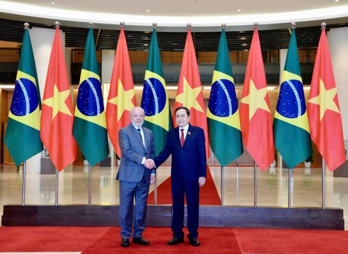 Intensifier la coopération multiforme Vietnam - Brésil - ảnh 2
