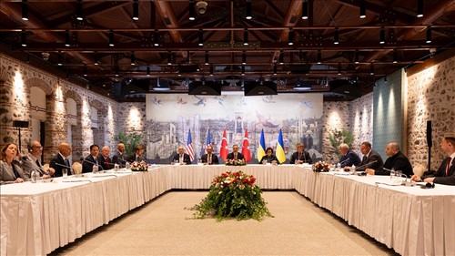 Réunions trilatérales à Istanbul pour résoudre le conflit russo-ukrainien - ảnh 1