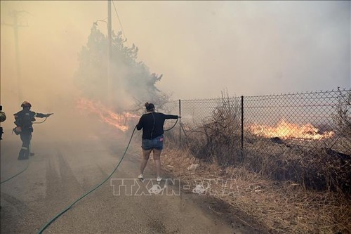 L’Europe s’entraide face aux incendies de forêt - ảnh 1
