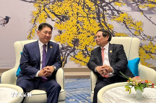 Pham Minh Chinh multiplie les rencontres bilatérales en marge du sommet de l’OCS - ảnh 1