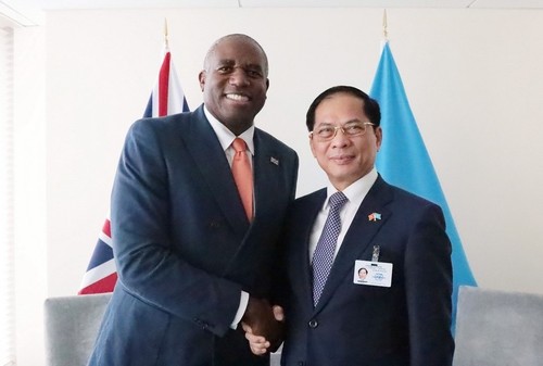 À l’ONU, le Vietnam renforce ses partenariats avec Londres et Varsovie - ảnh 1