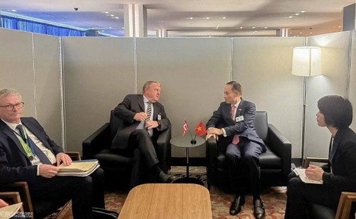 Le Vietnam et le Danemark renforcent leur coopération pour une croissance durable - ảnh 1
