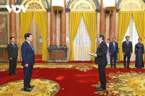 Luong Cuong reçoit des ambassadeurs présentant leurs lettres de créance - ảnh 1