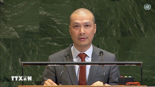 Gaza: le Vietnam appelle à des solutions pour une paix juste et durable - ảnh 1