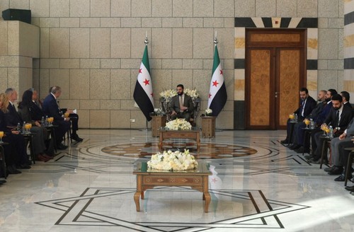 Une délégation du Conseil de sécurité de l'ONU en Syrie - ảnh 1