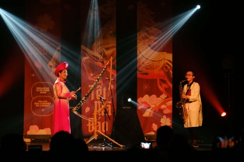 Quand le Têt vietnamien illumine la ville de Lorient - ảnh 2