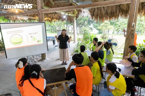 'Bỏ phố về rừng', trẻ được học cách sinh tồn, trồng cây bảo vệ rừng thế nào? - ảnh 14