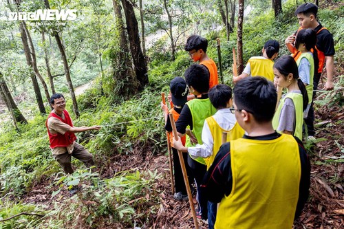 'Bỏ phố về rừng', trẻ được học cách sinh tồn, trồng cây bảo vệ rừng thế nào? - ảnh 2