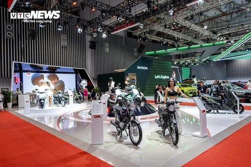 Vietnam Motor Show 2024 khai mạc, xe điện trở thành tâm điểm - ảnh 6