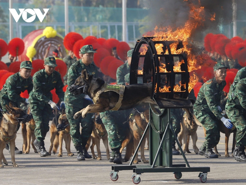 Đại tướng Phan Văn Giang kiểm tra, tổng duyệt Triển lãm Quốc phòng quốc tế Việt Nam - ảnh 9