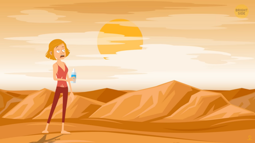 Nếu bị lạc trong sa mạc bạn sẽ làm gì? - ảnh 1