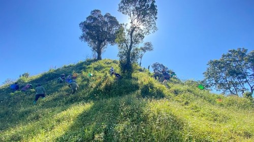 Ngày Quốc tế về Rừng (21/3): Chung tay phục hồi diện tích rừng suy giảm - ảnh 1