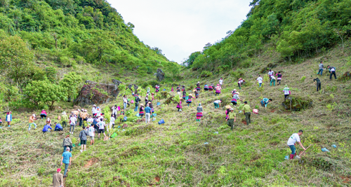 Ngày Quốc tế về Rừng (21/3): Chung tay phục hồi diện tích rừng suy giảm - ảnh 3