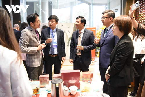 Ra mắt bộ phim tài liệu “Con đường phát triển” do VOV và Đài PT-TH Quảng Tây sản xuất - ảnh 14