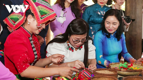 Phu nhân Thủ tướng Việt Nam và Nhật Bản thăm Làng Văn hóa Du lịch các dân tộc Việt Nam - ảnh 6