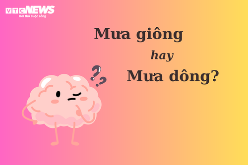 90% người nhầm lẫn: "Mưa giông" hay "mưa dông"? - ảnh 1