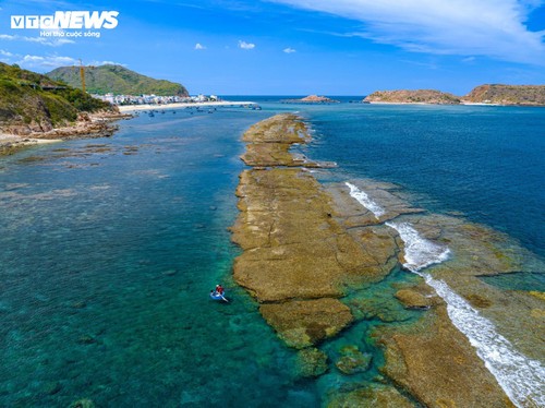 Cận cảnh con đường đi bộ xuyên biển "thoắt ẩn thoắt hiện" tại Bình Định - ảnh 2