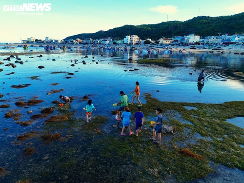 Cận cảnh con đường đi bộ xuyên biển "thoắt ẩn thoắt hiện" tại Bình Định - ảnh 7