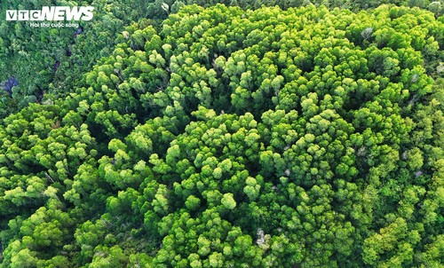 Khám phá Vũng Chua - "nóc nhà" mây phủ của phố biển Quy Nhơn - ảnh 10