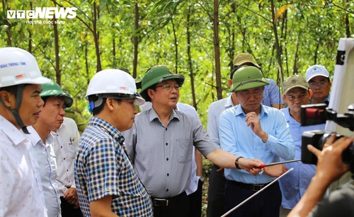 Khám phá Vũng Chua - "nóc nhà" mây phủ của phố biển Quy Nhơn - ảnh 12