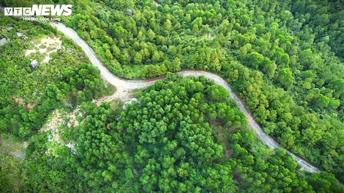 Khám phá Vũng Chua - "nóc nhà" mây phủ của phố biển Quy Nhơn - ảnh 7