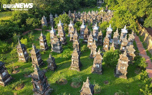 Chiêm ngưỡng ngôi chùa cổ vùng Kinh Bắc có vườn tháp lớn nhất Việt Nam - ảnh 13