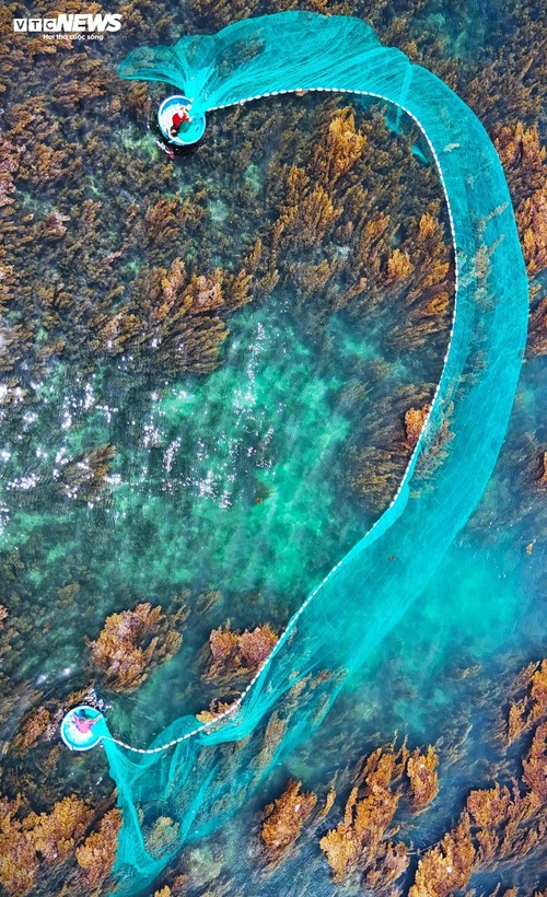 “Trốn” phố thị ồn ào, về Gia Lai ngắm rong mơ nhuộm vàng đáy biển - ảnh 10