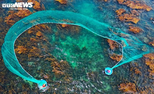 “Trốn” phố thị ồn ào, về Gia Lai ngắm rong mơ nhuộm vàng đáy biển - ảnh 12