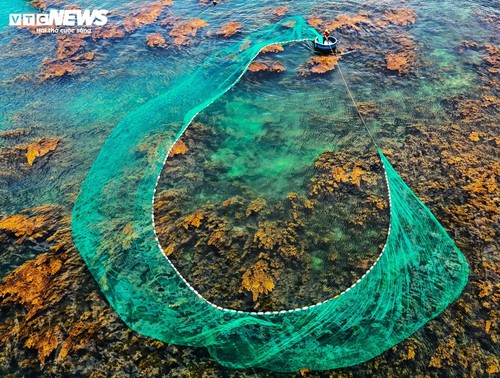 “Trốn” phố thị ồn ào, về Gia Lai ngắm rong mơ nhuộm vàng đáy biển - ảnh 13