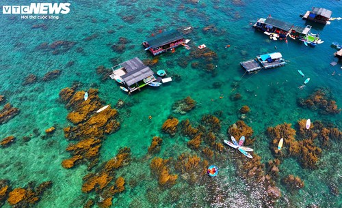 “Trốn” phố thị ồn ào, về Gia Lai ngắm rong mơ nhuộm vàng đáy biển - ảnh 14