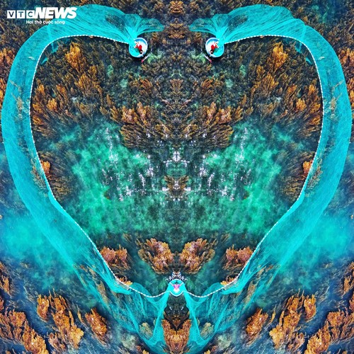 “Trốn” phố thị ồn ào, về Gia Lai ngắm rong mơ nhuộm vàng đáy biển - ảnh 3