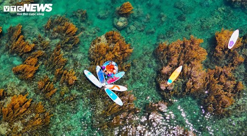 “Trốn” phố thị ồn ào, về Gia Lai ngắm rong mơ nhuộm vàng đáy biển - ảnh 6