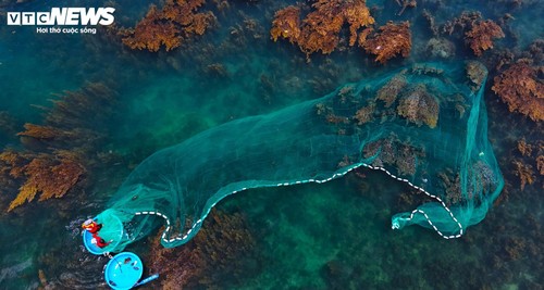 “Trốn” phố thị ồn ào, về Gia Lai ngắm rong mơ nhuộm vàng đáy biển - ảnh 8