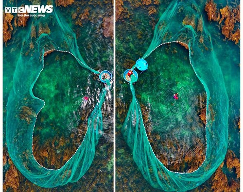 “Trốn” phố thị ồn ào, về Gia Lai ngắm rong mơ nhuộm vàng đáy biển - ảnh 9