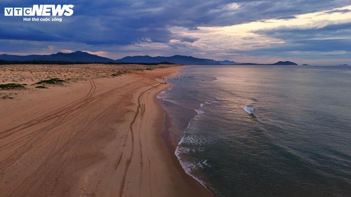 Về biển Gia Lai, ngắm những ‘gã khổng lồ’ của đại dương săn mồi - ảnh 10