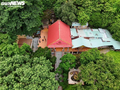 Ngôi chùa độc đáo trên núi ở TP.HCM, nơi bầy khỉ hoang nương náu - ảnh 1