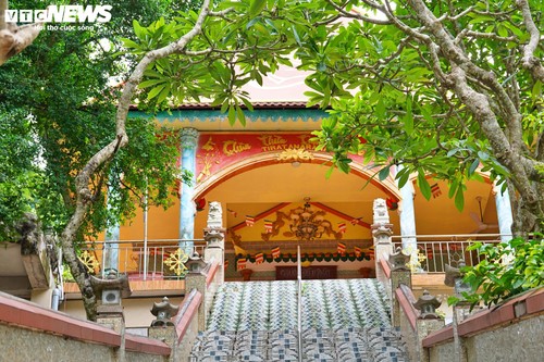 Ngôi chùa độc đáo trên núi ở TP.HCM, nơi bầy khỉ hoang nương náu - ảnh 2