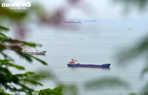 Ngôi chùa độc đáo trên núi ở TP.HCM, nơi bầy khỉ hoang nương náu - ảnh 9